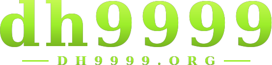 dh9999 logo